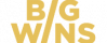 BigWins Casino